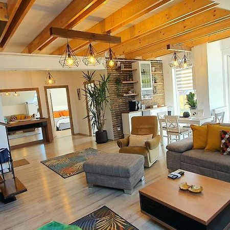 Hoobee Home & Rooftop Terrace Târgu-Mureş Dış mekan fotoğraf