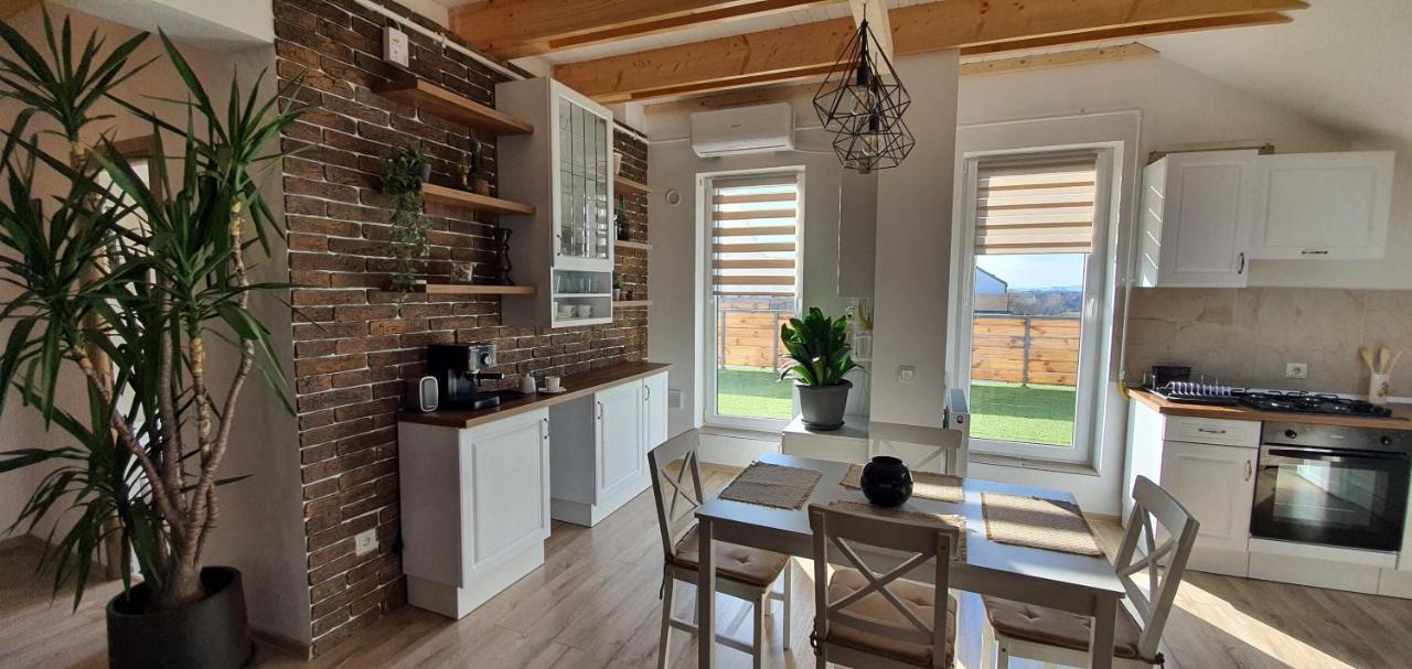 Hoobee Home & Rooftop Terrace Târgu-Mureş Dış mekan fotoğraf