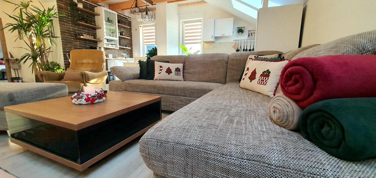 Hoobee Home & Rooftop Terrace Târgu-Mureş Dış mekan fotoğraf